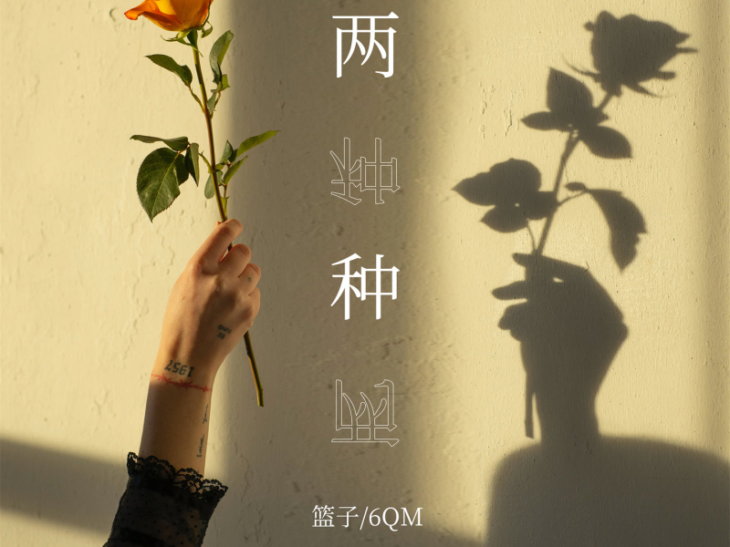 两种 (Single)