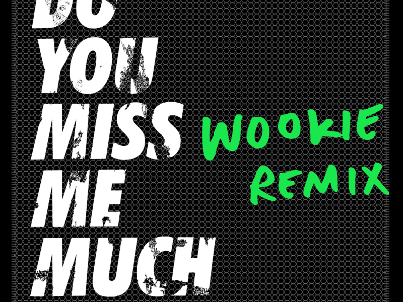 Do You Miss Me Much (Wookie Remix)