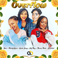 Overflow (Single)