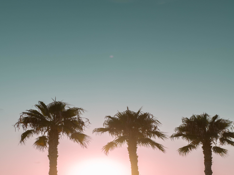 Sunrise in Ibiza (Single)