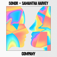 Company (Single)