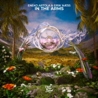 In the Arms (Single)