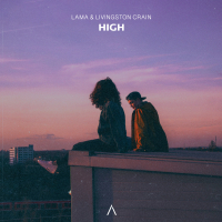 High (Single)