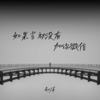如果当初没有加你微信 (Single)