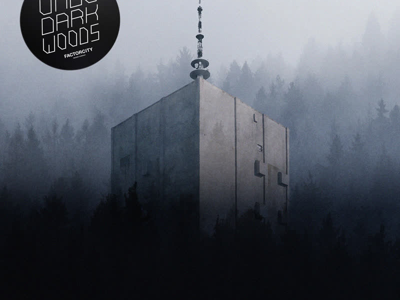 Dark Woods