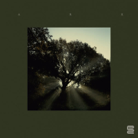 Bird Flight (Single)