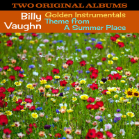 Golden Instrumentals / Theme from A Summer Place