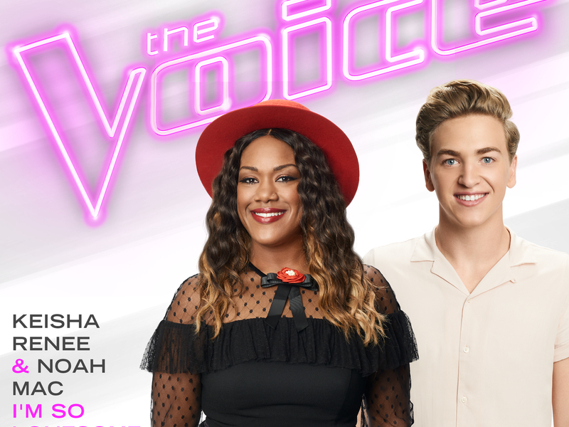 I’m So Lonesome I Could Cry (The Voice Performance)