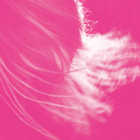 i’m in love... (Justin Robertson Remixes) (Single)