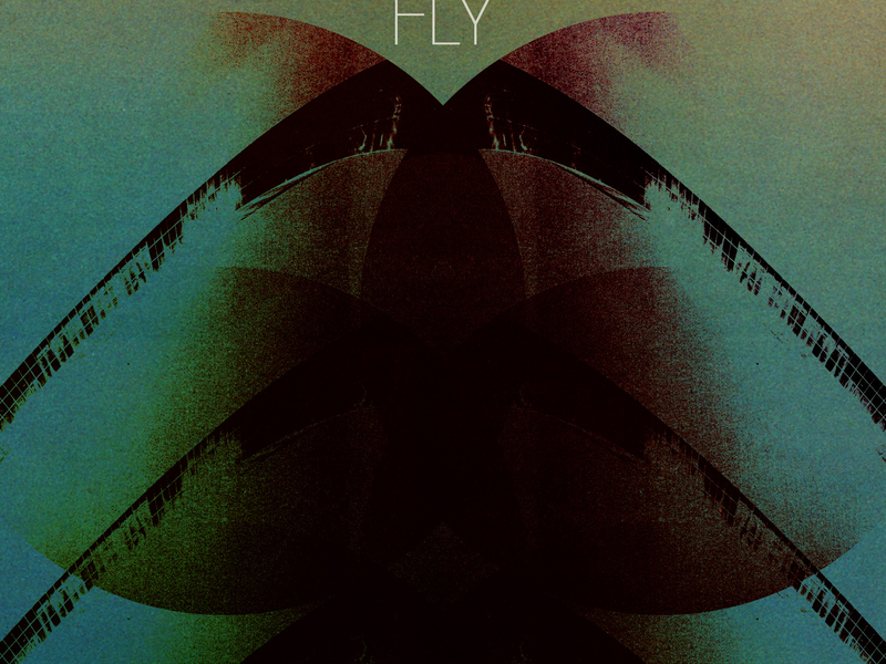 Fly