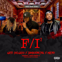 F/I 2 (The D/R Period Mix) (Single)