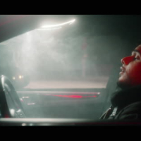 Panther (MV) (Single)