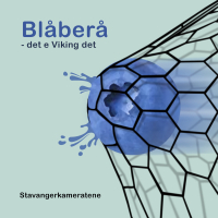 Blåberå - det e Viking det (Single)