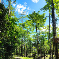 Pergi Meniggalkanku (Single)