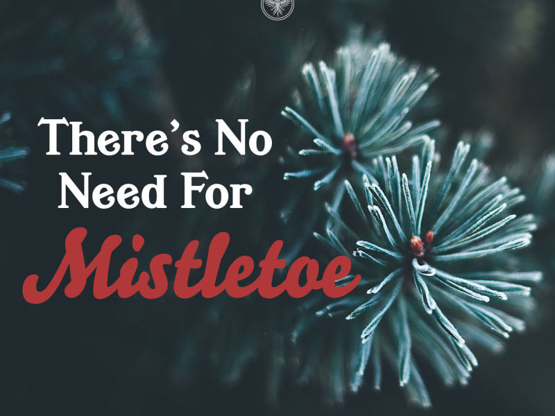 There's No Need for Mistletoe (Single)