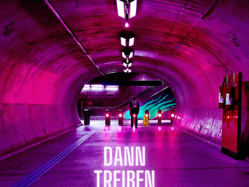 DANN TREIBEN WIR'S (Single)