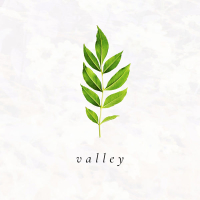 Valley (Single)