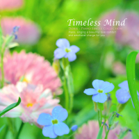 Unchanging heart (Single)