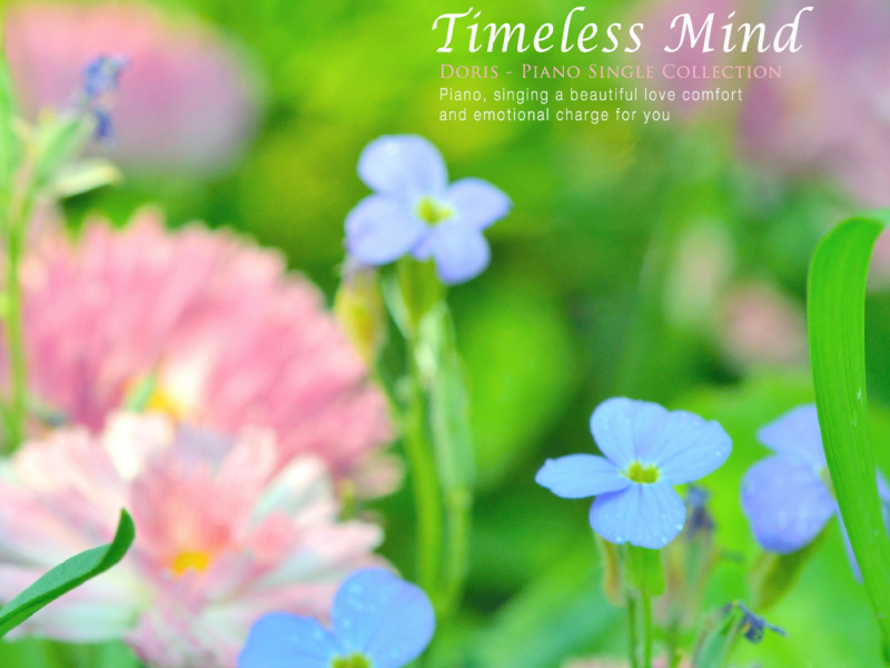 Unchanging heart (Single)