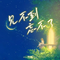 见不到也忘不了 (EP)