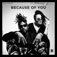 Because of You (Single)