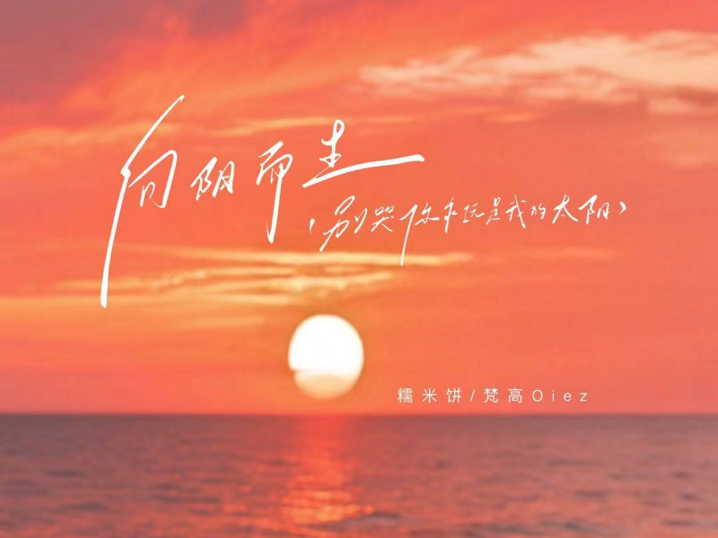 向阳而生 (别哭你永远是我的太阳) (Single)