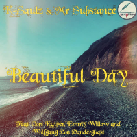 Beautiful Day (Single)