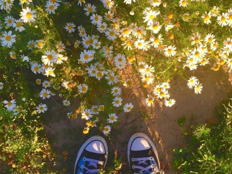 Nicht perfekt (Single)