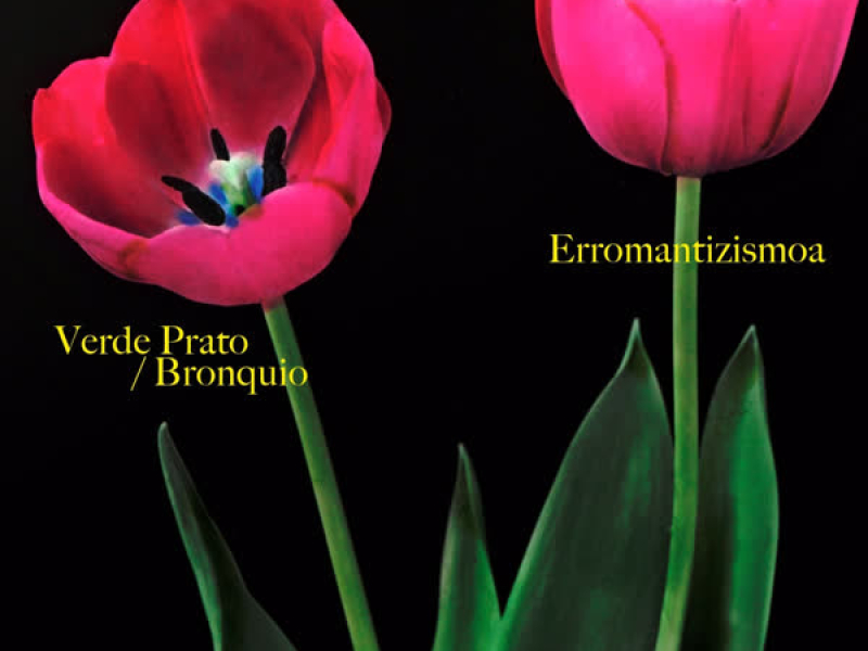 Erromantizismoa (EP)