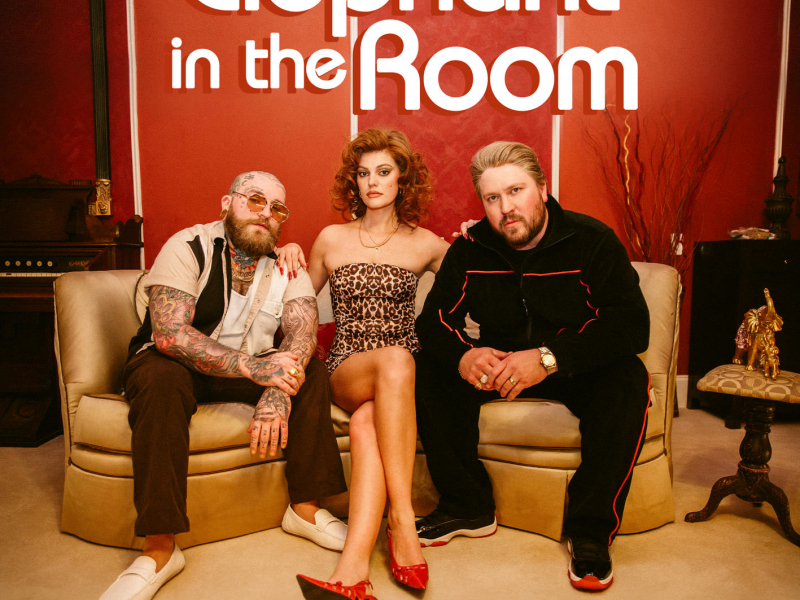 Elephant in the Room (Single)