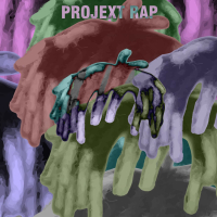 Projext Rap (Single)