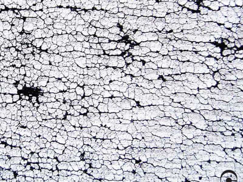 Dramatic Change of Fortune