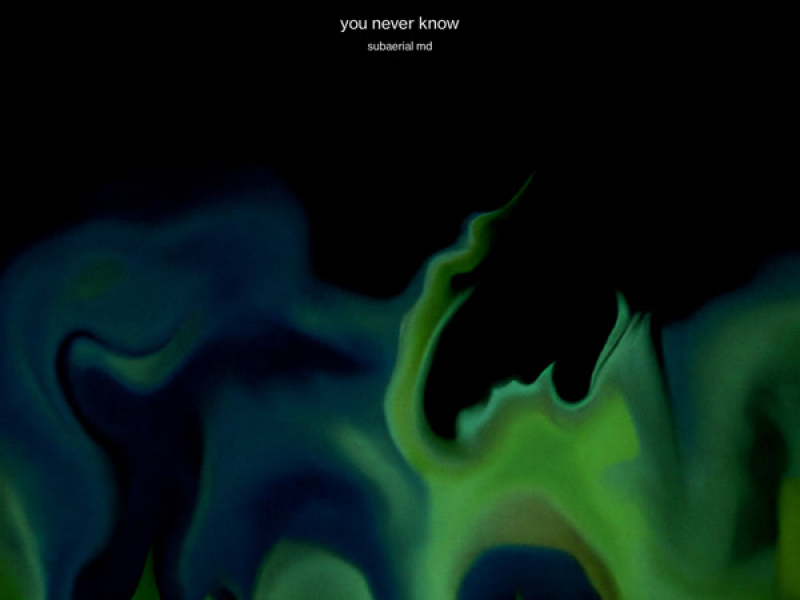 you never know (Single)