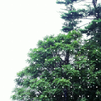 Recover (demo) (Single)