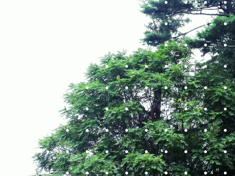 Recover (demo) (Single)