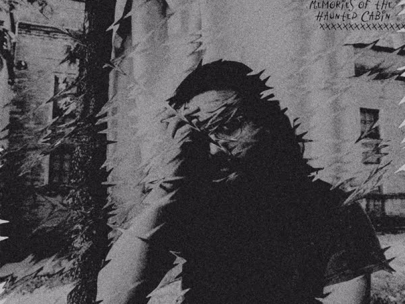 Memories of the Haunted Cabin (Single)