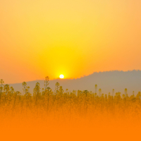 Deep Healing Music For Stress Relief And Emotional Balance With Calming Instrumental Sounds For Inner Peace (Single)