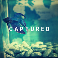 Captured