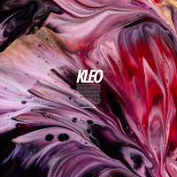 Paradise Vibe (Single)