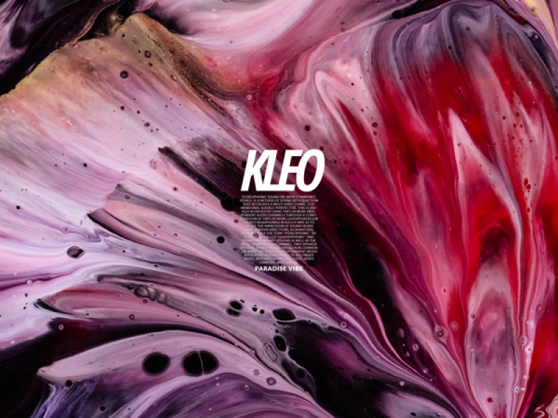 Paradise Vibe (Single)