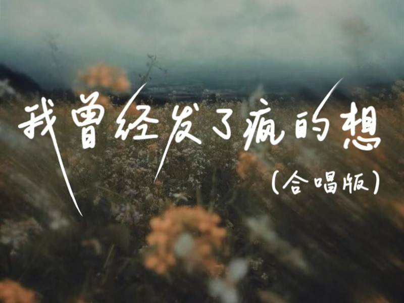我曾经发了疯的想（合唱版） (Single)