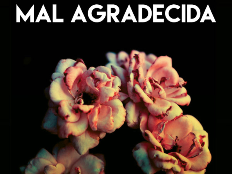 Mal Agradecida (Single)