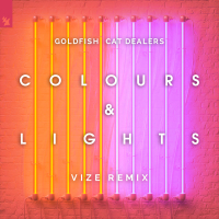 Colours & Lights (VIZE Remix) (Single)