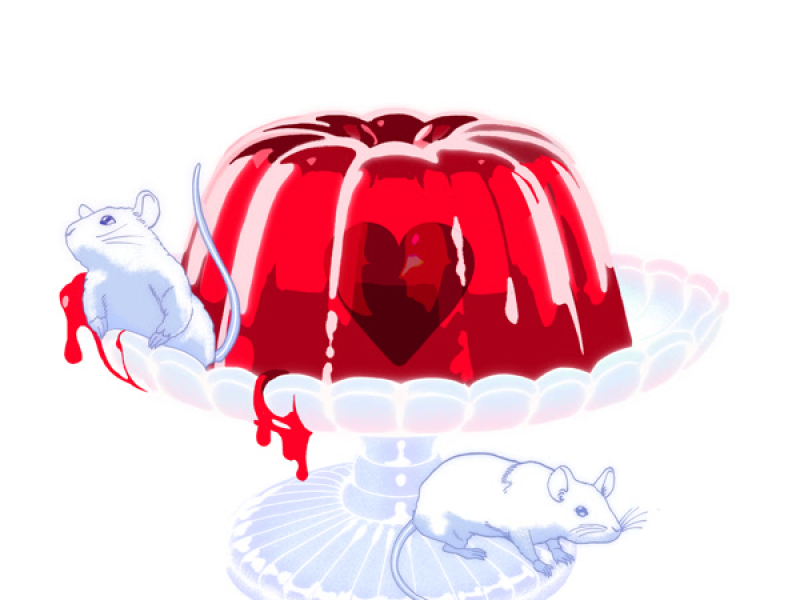 Bam Yang Gang (Single)