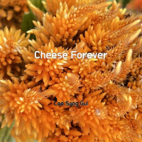 Cheese Forever