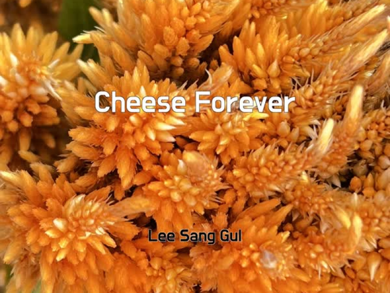 Cheese Forever