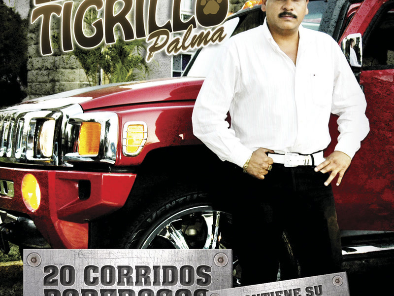 20 Corridos Poderosos