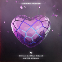 Missing Pieces (Single)