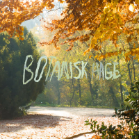 Botanisk Hage (Single)
