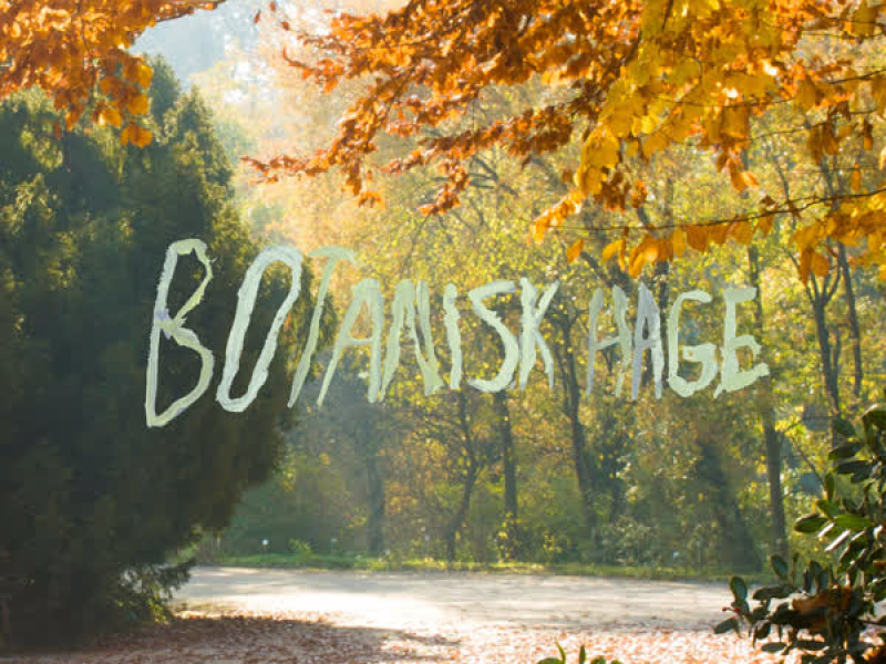 Botanisk Hage (Single)
